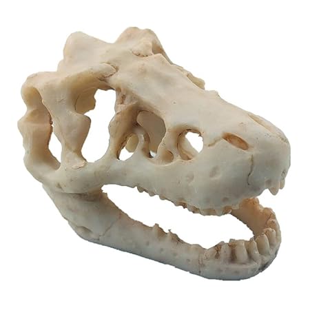 MTGHYARE Dinosaur Aquarium Decoration – Resin Dinosaur Skull Ornament for Betta Fish Tanks