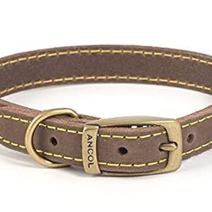 "Ancol Timberwolf Leather Collar Size 5 – Durable Leather Dog Collar"