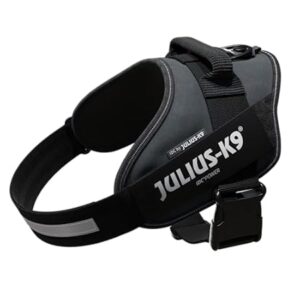 Julius K9 Powerharness durable dog harness UK