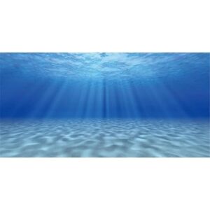24x12 aquarium background undersea theme for fish tanks