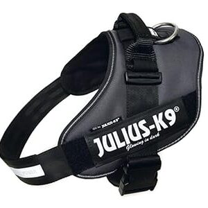 large dog harness - Julius-K9 IDC Powerharness size 3 anthracite dog walking harness