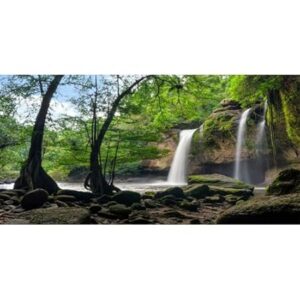 AWERT Aquarium Rainforest Decor – 48x24" Waterfall Background for Aquariums and Reptile Tanks