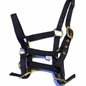 Rhinegold Nylon Foal Headcollar - Navy for foals, adjustable, soft, and durable for young horses.