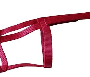 Rhinegold Field Safe Headcollar in Full Raspberry for horses, durable, adjustable, and high visibility.
