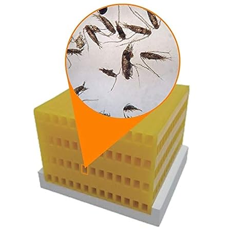 icecap pod habitat copepod breeding station