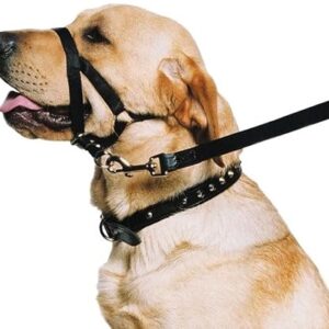 Ancol Dog Training Halter for medium dogs, nylon weatherproof head collar