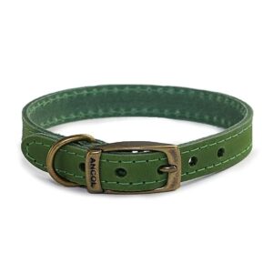 Green leather dog collar 50-59cm size 7