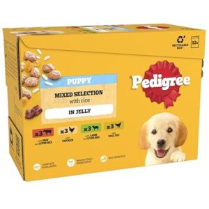 Pedigree Junior Wet Dog Food 12 Pouches 12x100g for puppies