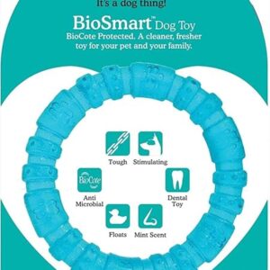 Rosewood BioSafe Puppy Ring - Mint Scented, Dental Health Chew Toy for Small Dogs