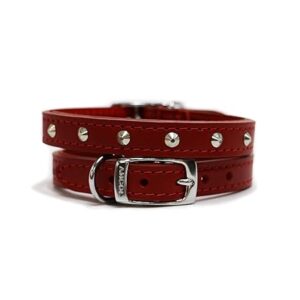 Red leather dog collar with studded details for comfort and style