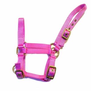 Rhinegold Nylon Foal Headcollar Pink adjustable foal halter