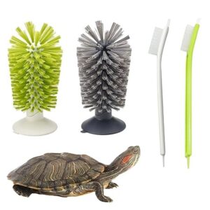 Turtle Shell Brush with suction cup for tank cleaning and shell health