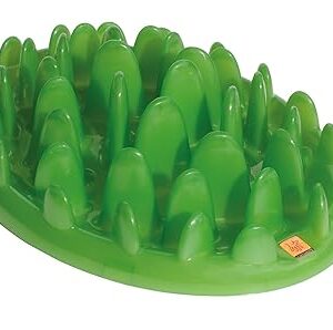 GREEN Slow Feeder for Dogs – Size Large, Anti-Gulp, Mental Stimulation
