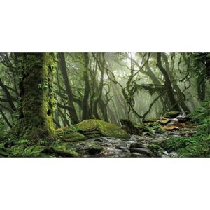 AWERT Foggy Forest Terrarium Background – Stream Green Huge Tree for Reptile Habitat