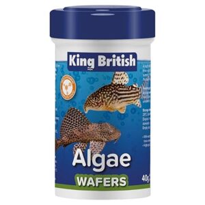 King British Algae Wafers 40g sinking fish food