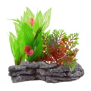 Green Lace Sword Mound in Aquarium