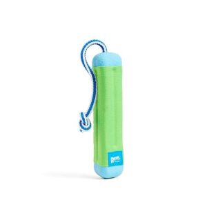 Chuckit! Amphibious Bumper Dog Toy for Fetch and Water Play