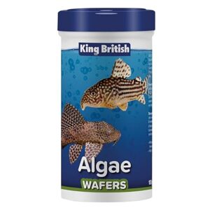alt="King British algae wafers fish food 100g"