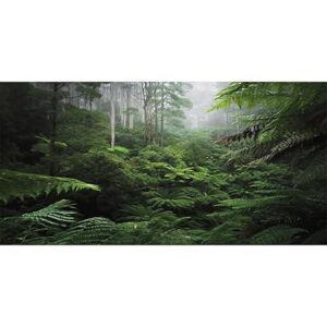 AWERT Waterfall Terrarium Background – 48x18 inches, Tropical Rainforest, Reptile Habitat, Durable Polyester