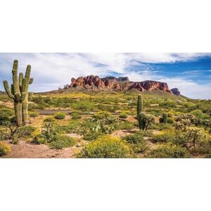 Reptile terrarium background 24x12 Blue Sky Oasis Cactus Gobi