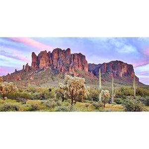 Desert Terrarium Background 48x24 cactus oasis reptile habitat backdrop