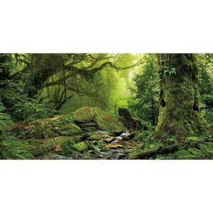 AWERT tropical terrarium background 48x18 inches with rainforest design for reptile habitats and aquariums