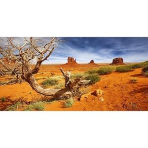 AWERT 48x18 Desert Habitat Background - Orange Desert Design for Reptile Tanks and Terrariums