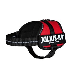JULIUS-K9 Powerharness Red Size M/0 for Dogs