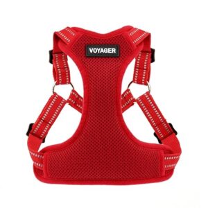No pull harness red size L with reflective stripes and leash D-ring