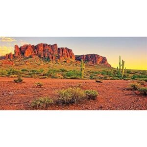 Reptile Habitat Background 48x18 Blue Sky Oasis Desert