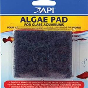 API Algae Pad for Glass Aquariums Scratch Free Cleaner