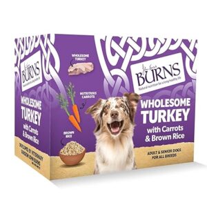 Natural Wet Dog Food Turkey and Potato 6 x 395g