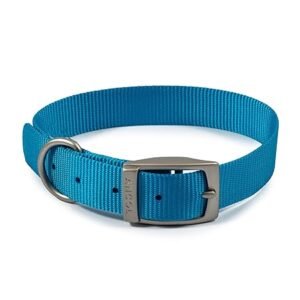 lightweight dog collar blue buckle weatherproof 39-48cm size 5