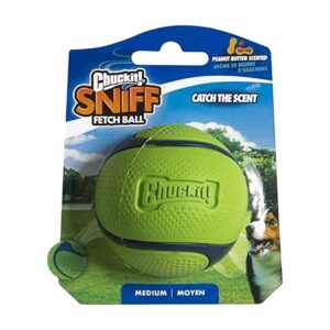 Chuckit! Scented Dog Ball – Peanut Butter Scented Fetch Toy for Medium Dogs