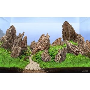 Landen Natural Dragon Stones for Aquascaping, Vivariums, and Reptile Enclosures."