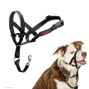 stop pulling headcollar - HALTI Headcollar Size 2 Black for medium dogs UK