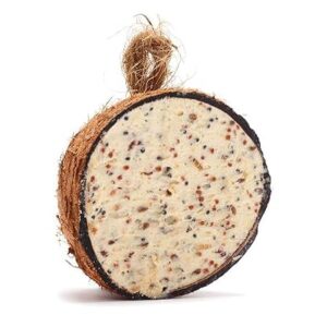 RSPB Coconut Treats 275g Wild Bird Food