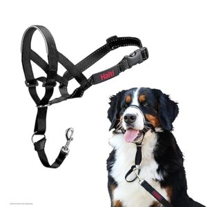 HALTI Headcollar Size 4 anti-pull dog harness UK