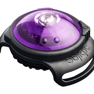 Dog LED light UK waterproof Orbiloc safety light for night walks