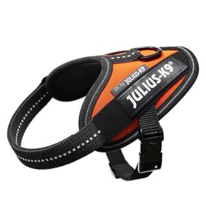 Julius-K9 IDC Powerharness Dog Harness Baby 1 UV Orange