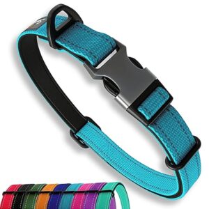Blue Dog Collar - Reflective and Adjustable for Medium Dogs