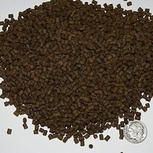 sinking fish pellets for bottom feeders