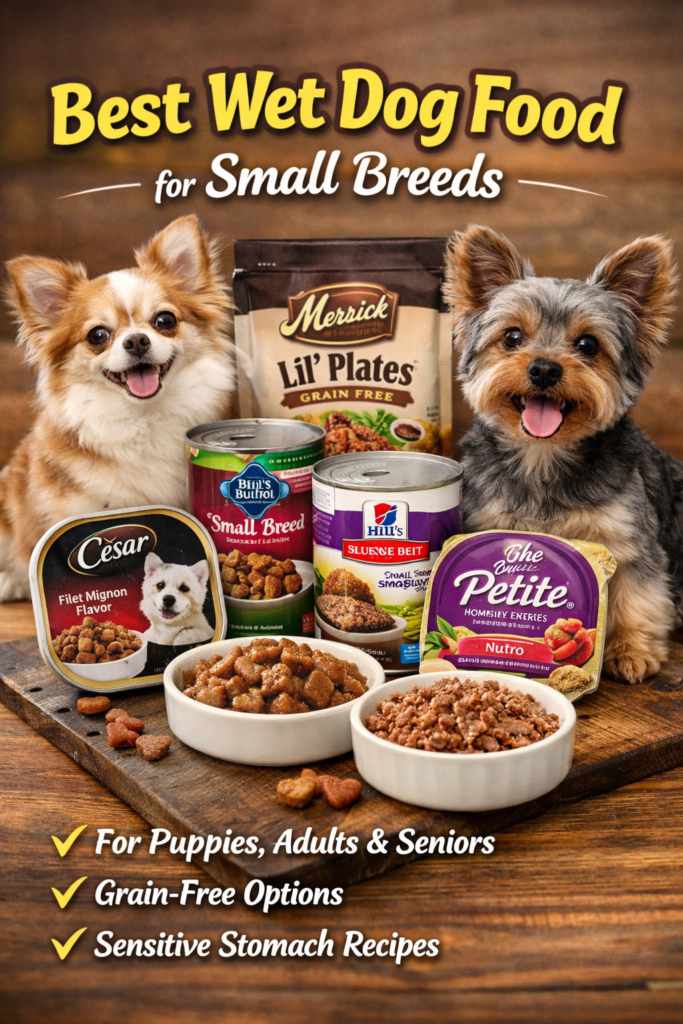 A blog featured image showing small-breed wet dog food products arranged on a wooden table between two small dogs, with the headline “Best Wet Dog Food for Small Breeds” and benefit points for puppies, adults, seniors, grain-free options, and sensitive stomach recipes.